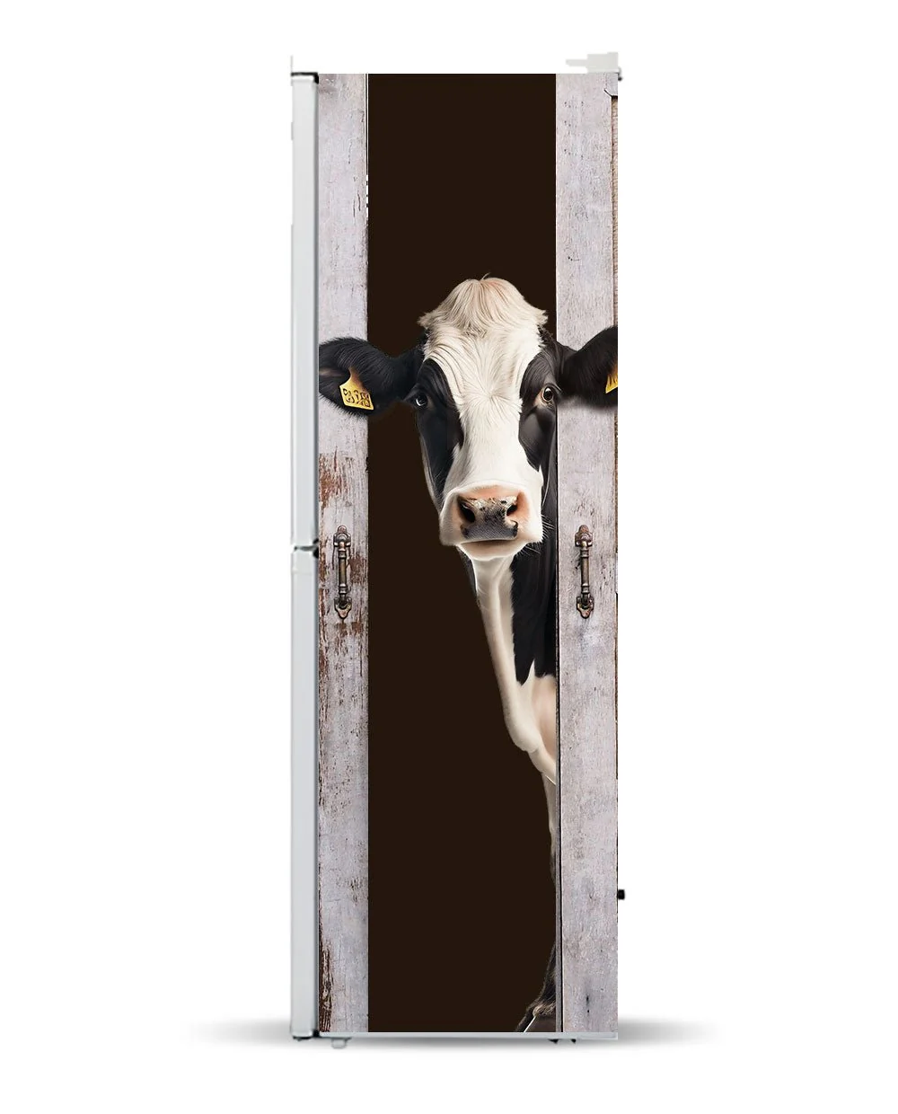 A cow in the barn - Image 9