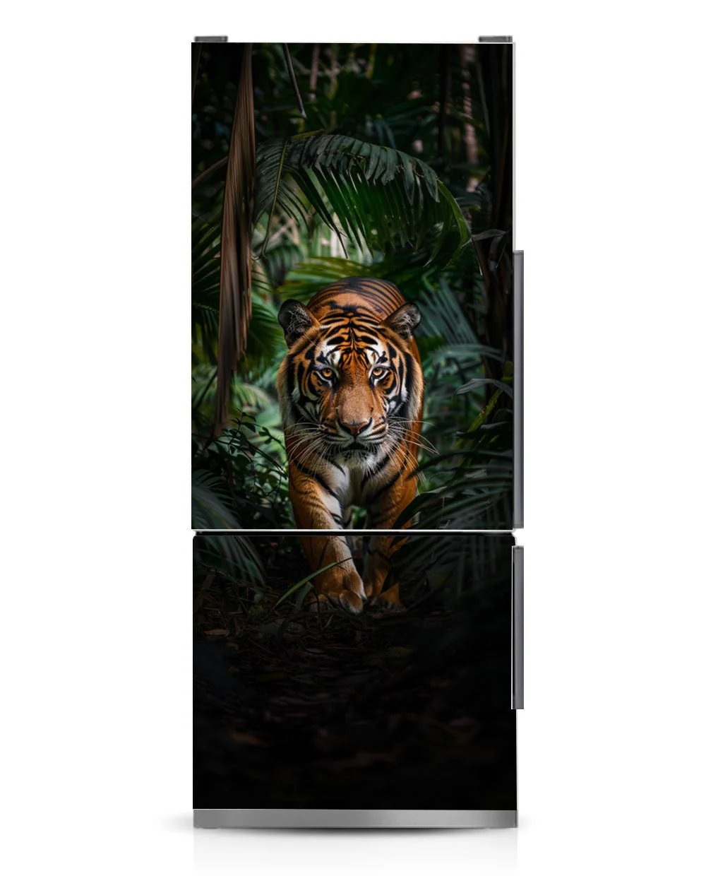 A tiger in the jungle - Image 8