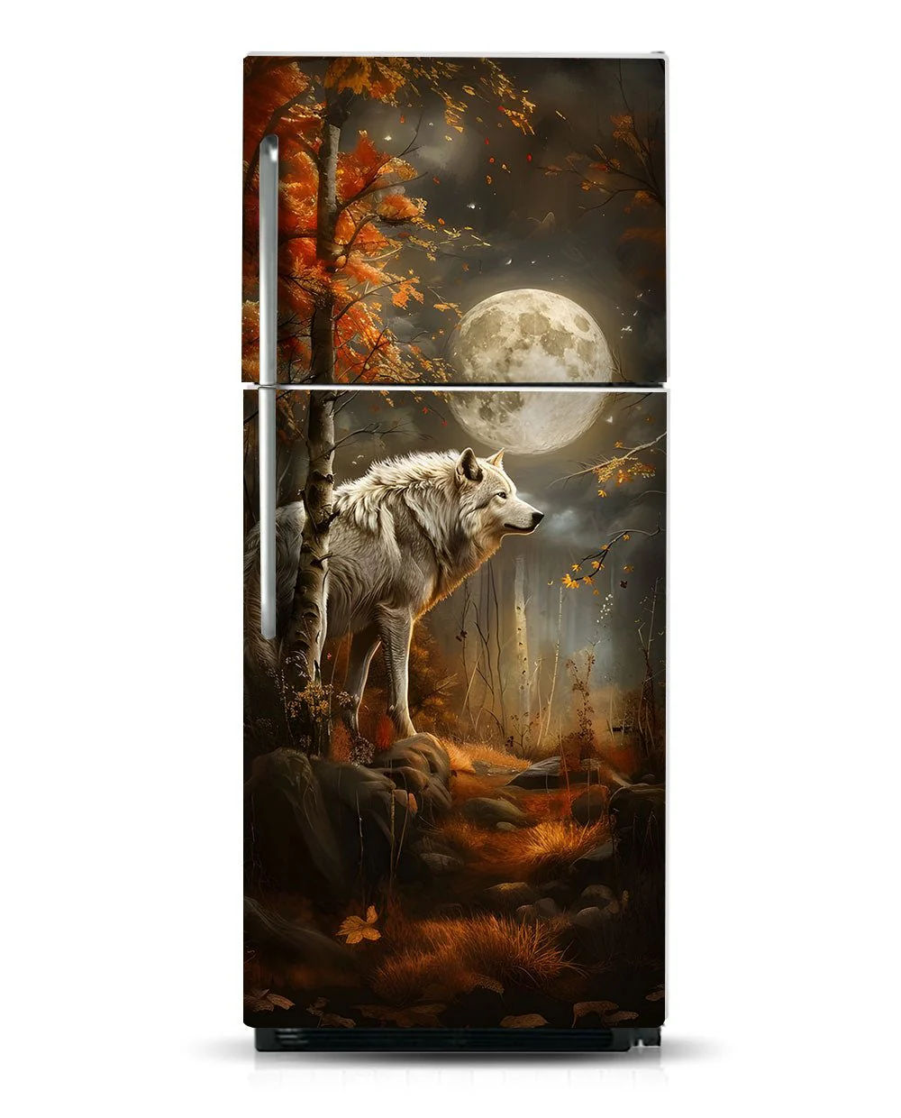 A wolf at night - Image 7