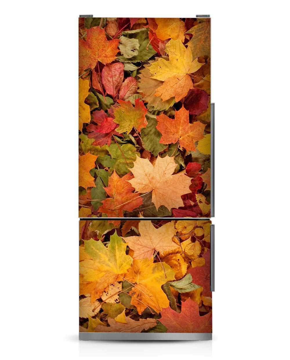 All yellow - Image 11