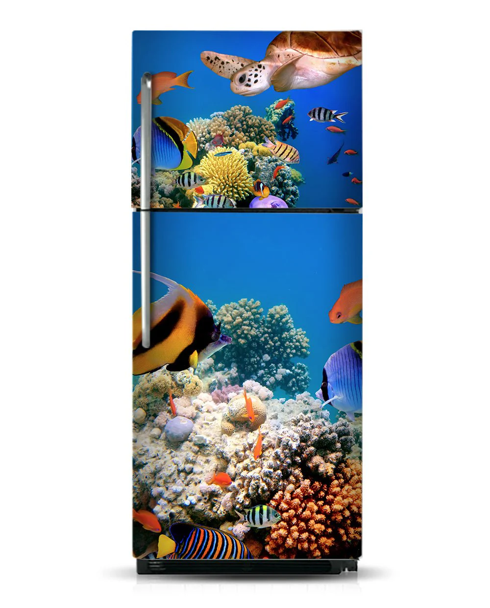 Aquarium - Image 3