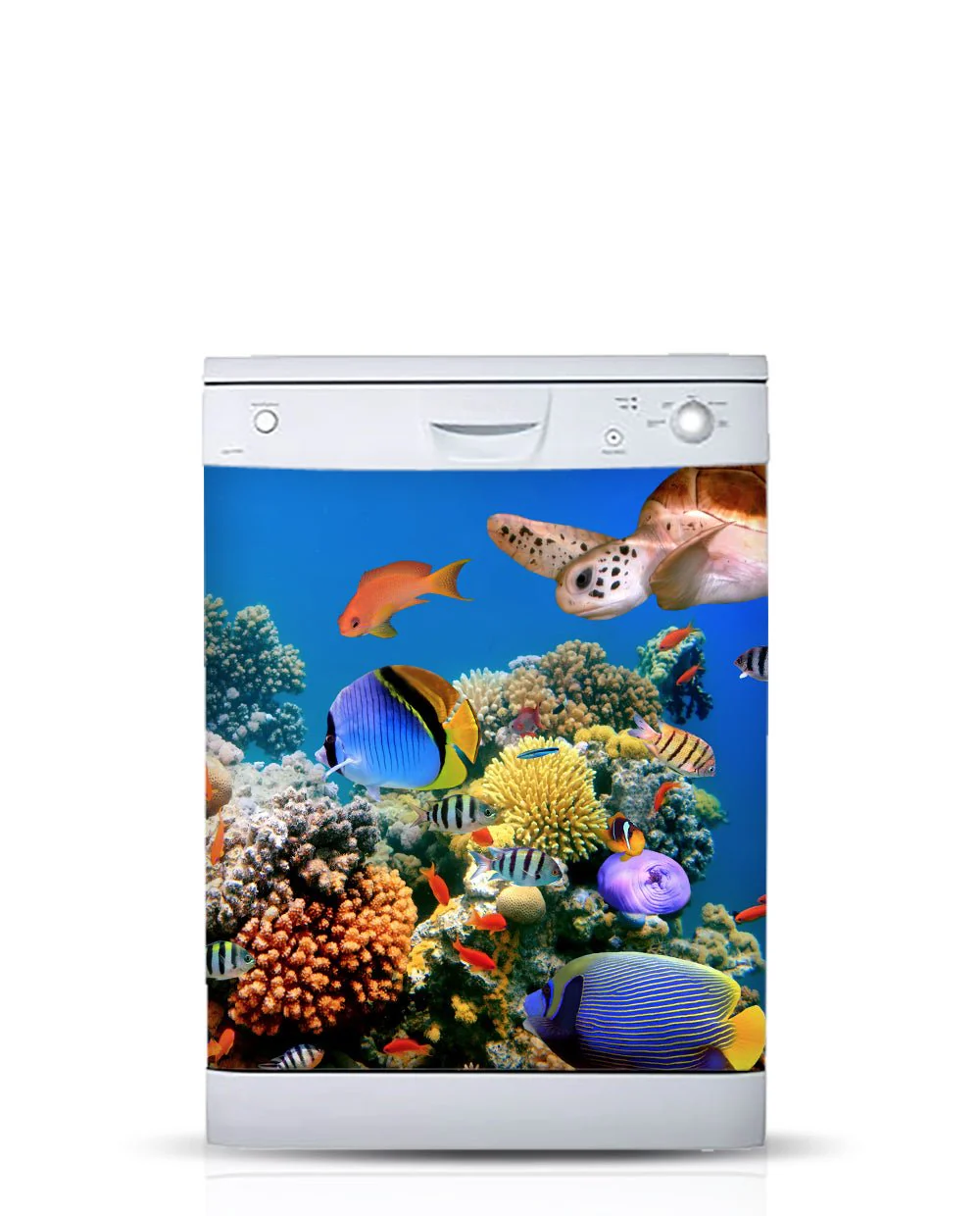Aquarium - Image 4