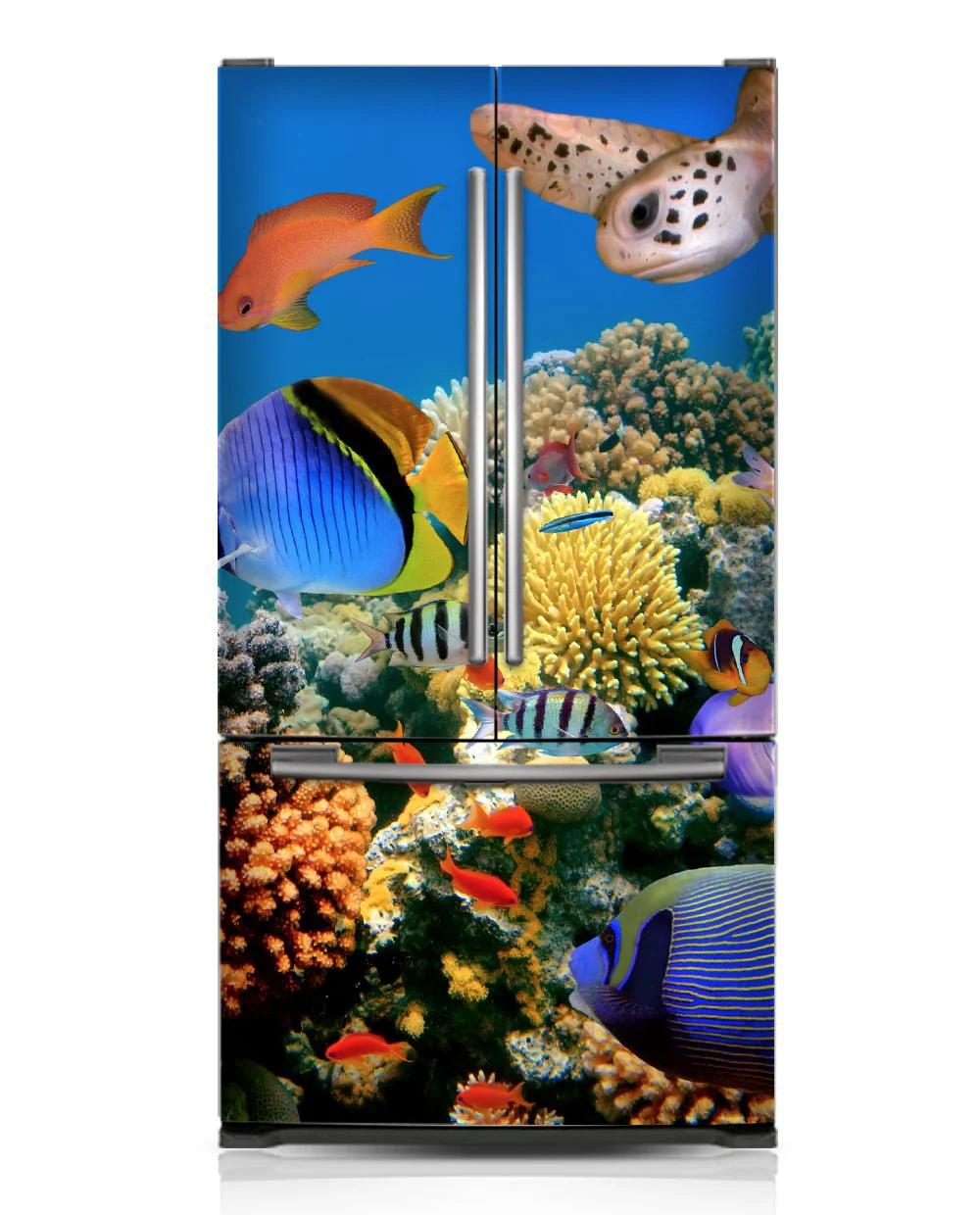 Aquarium - Image 5