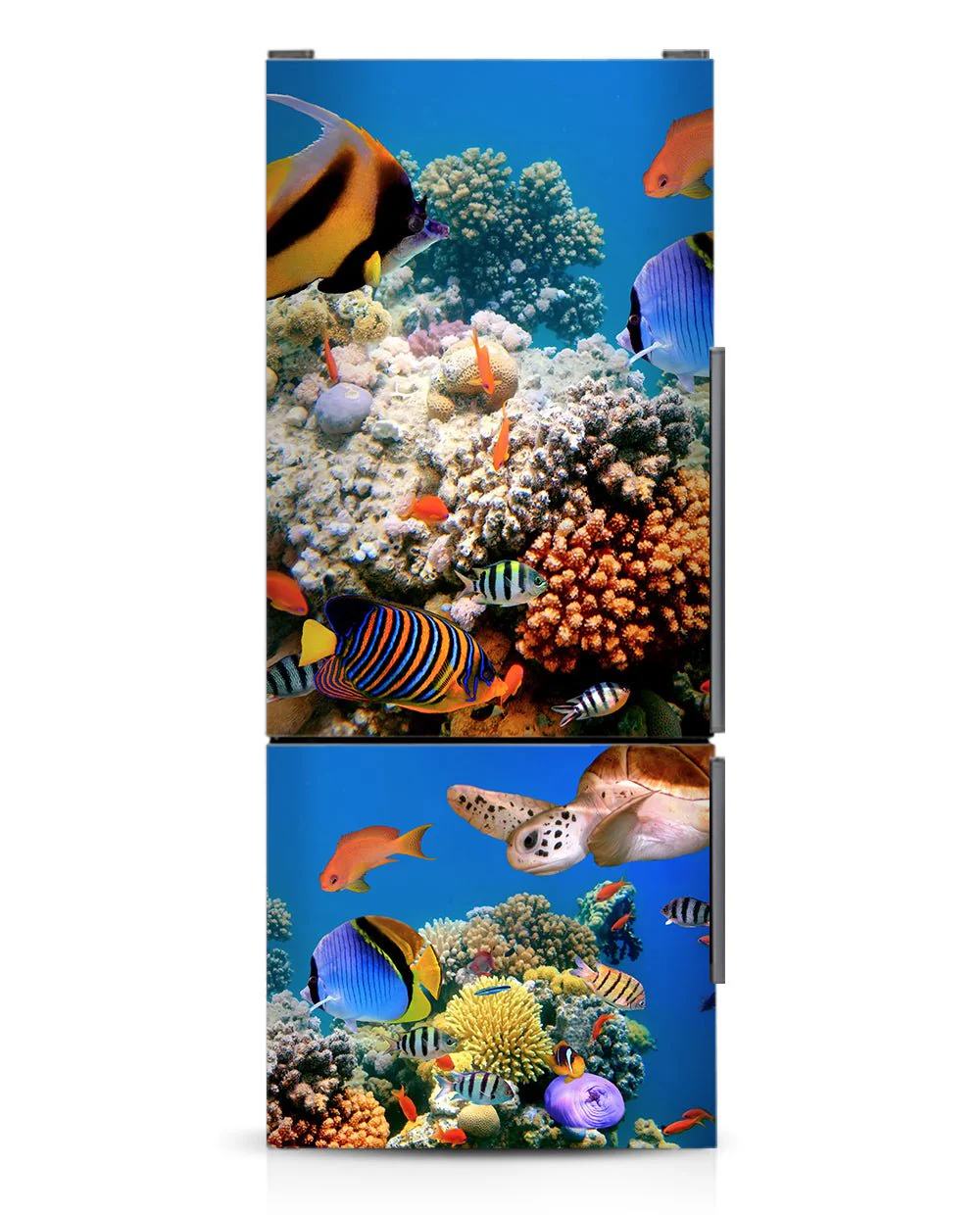 Aquarium - Image 6