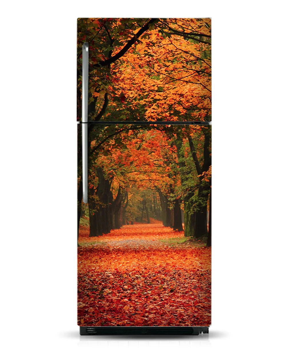 Autumn