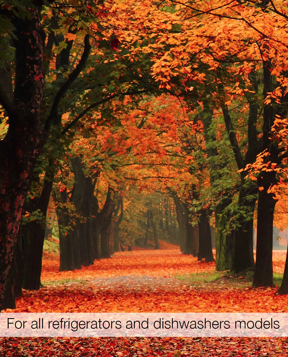 Autumn - Image 3