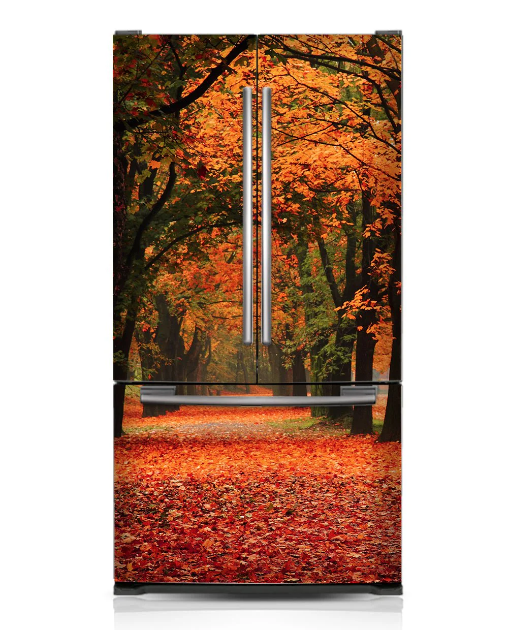 Autumn - Image 4