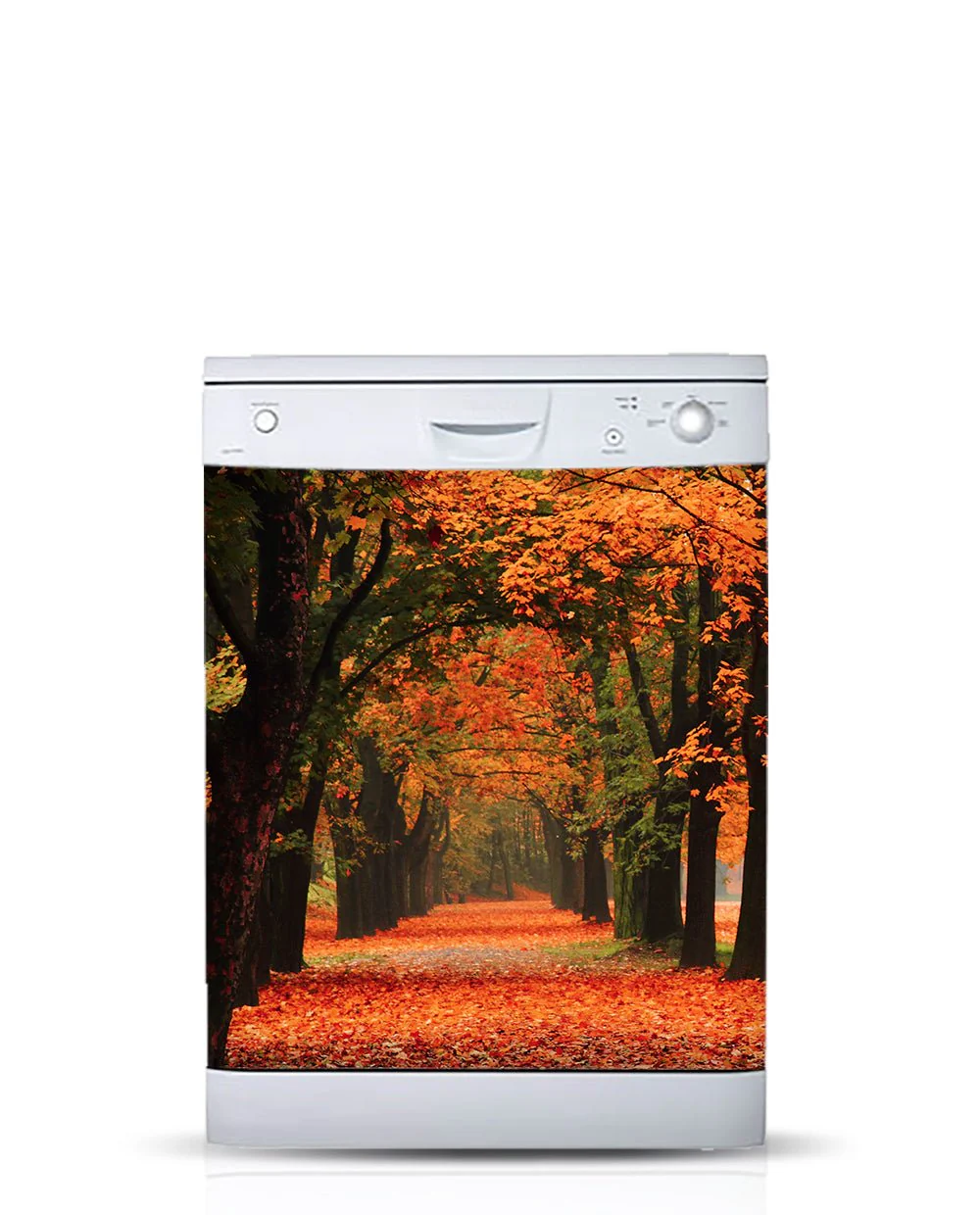 Autumn - Image 5