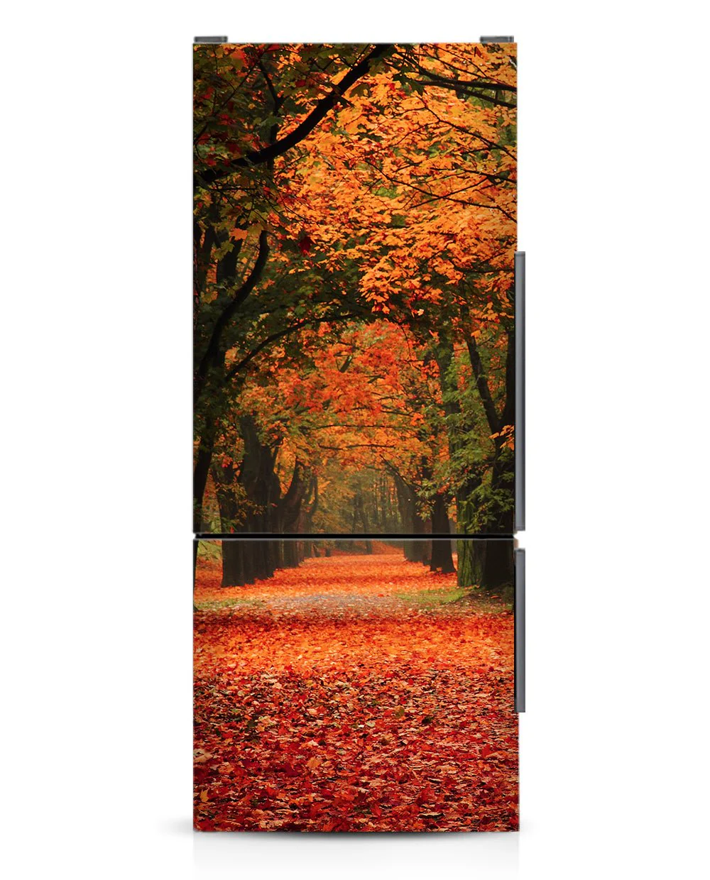 Autumn - Image 7