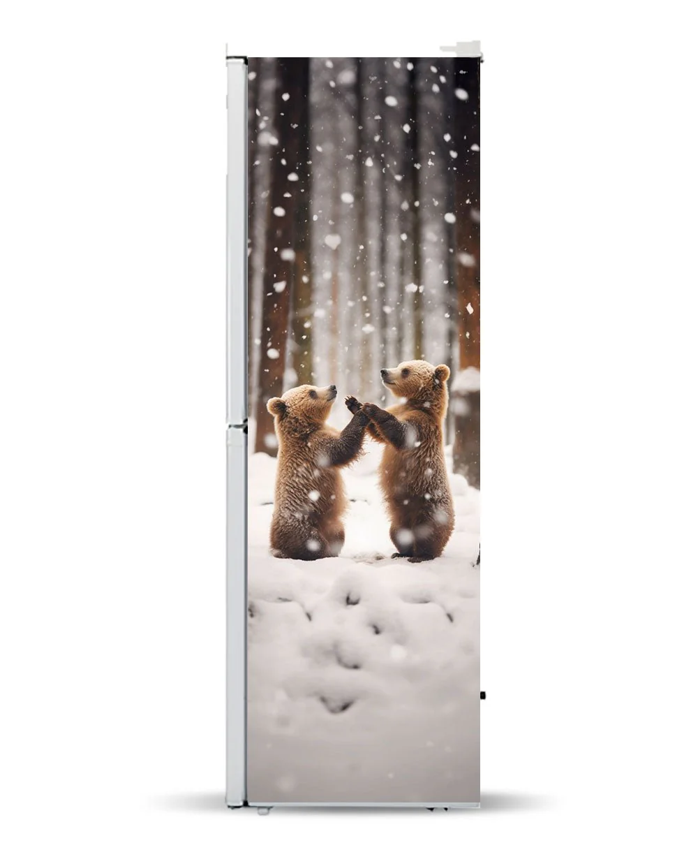 Bear cabs - Image 6