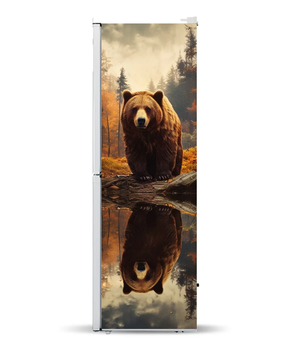 Bear in the woods - Image 8