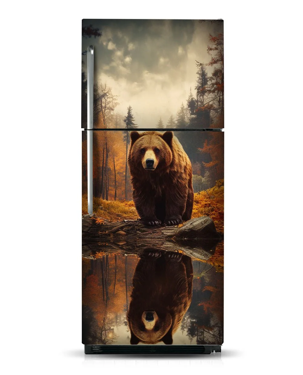 Bear in the woods - Image 9