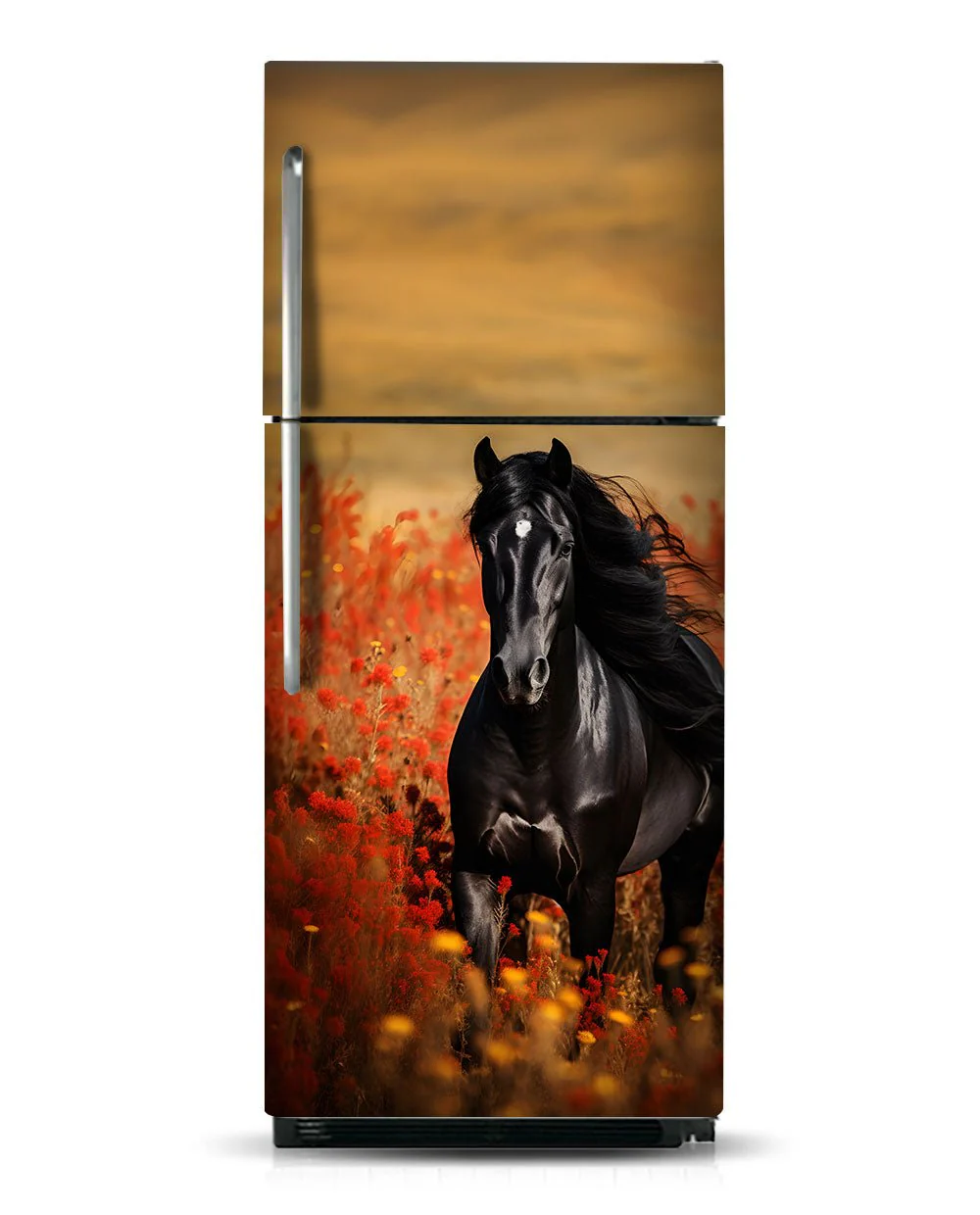 Black Arabian Horse - Image 10