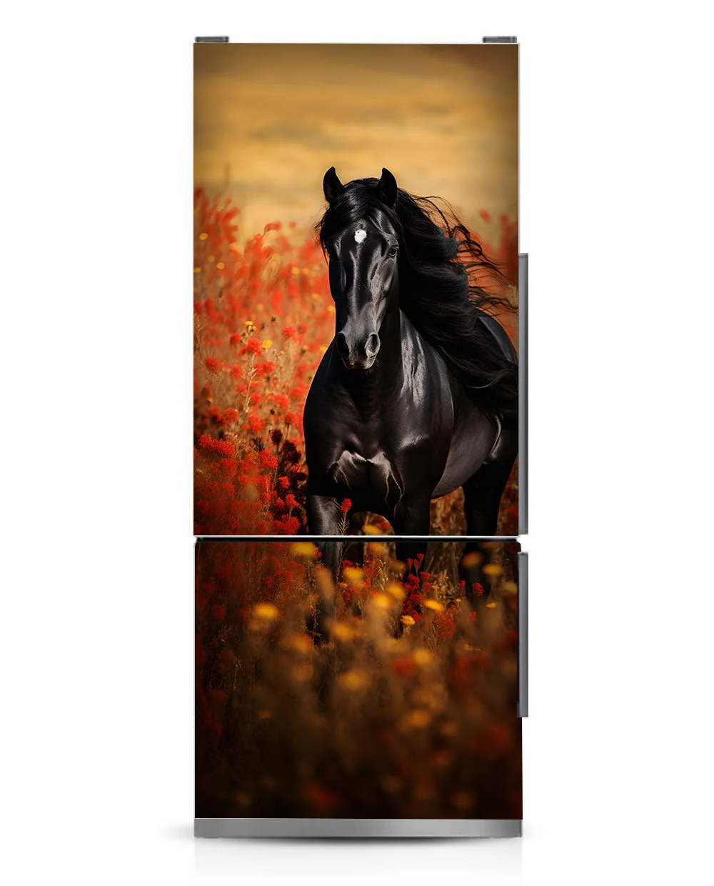 Black Arabian Horse - Image 11