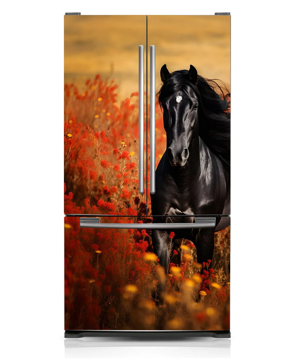 Black Arabian Horse - Image 3