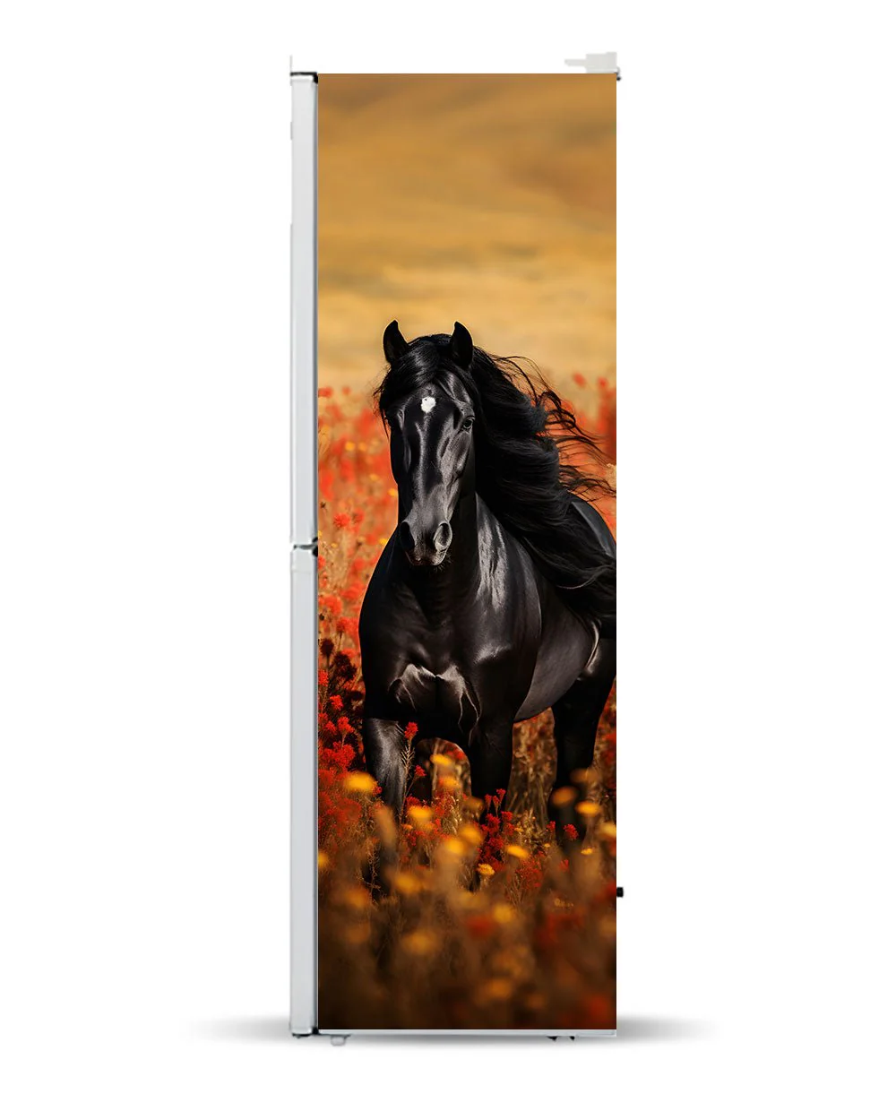 Black Arabian Horse - Image 6
