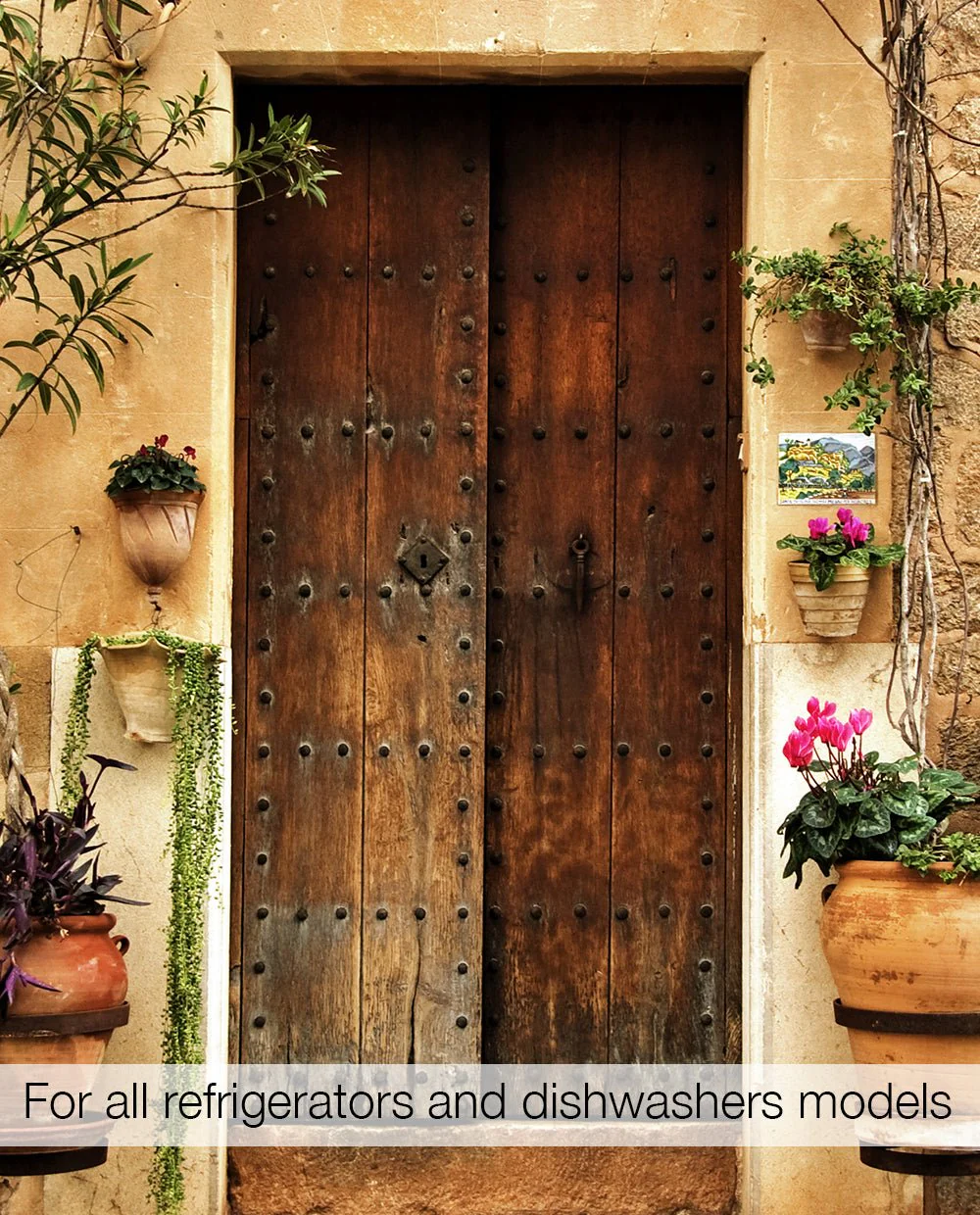 Brown door - Image 2