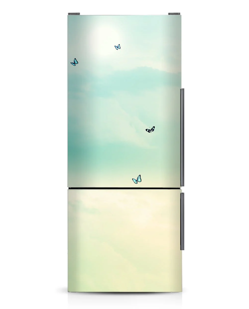 Butterflies - Image 6