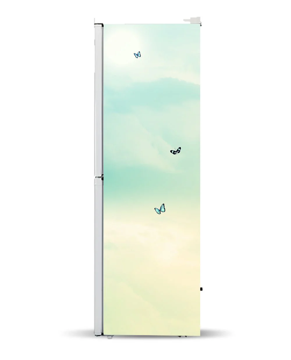 Butterflies - Image 7