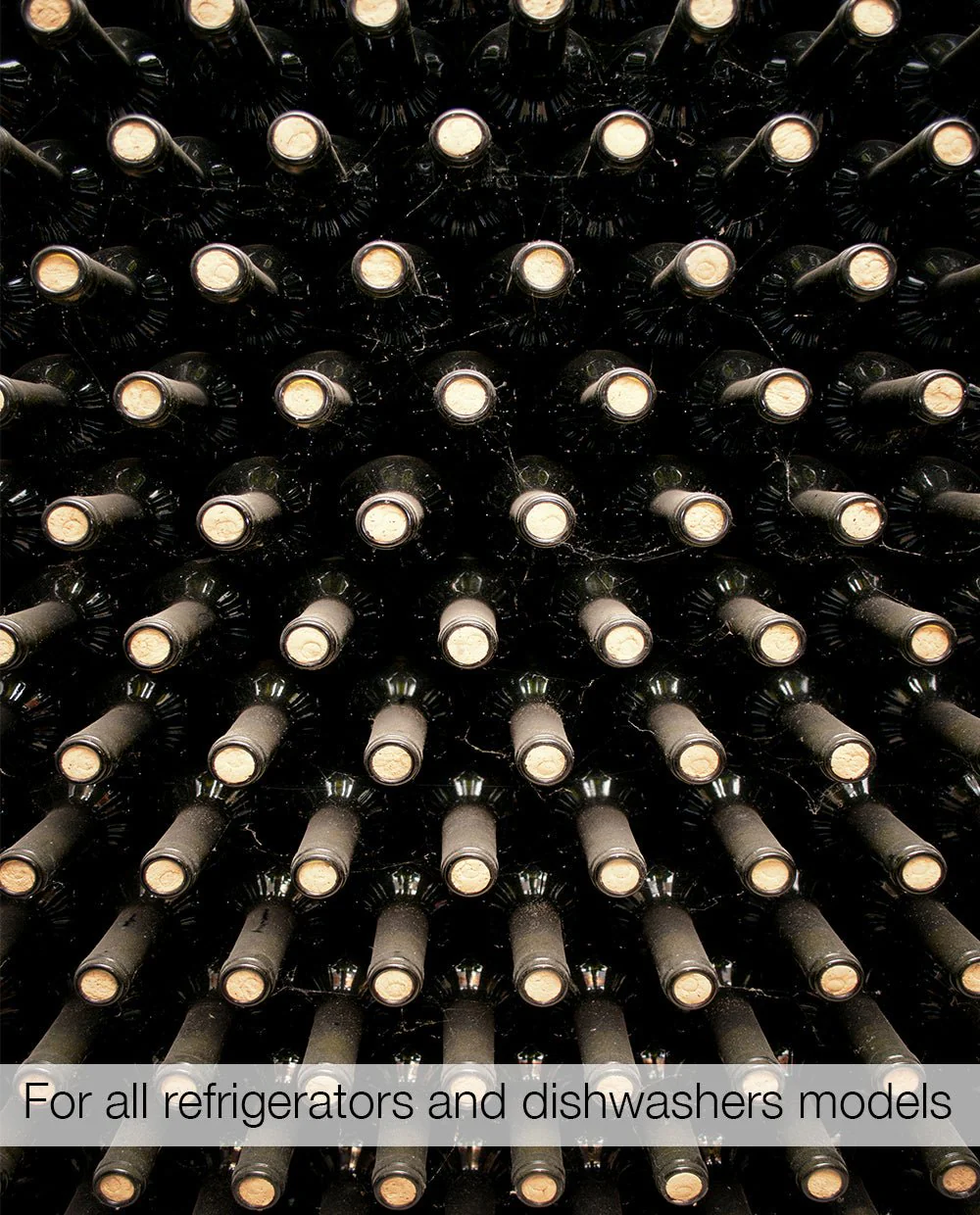 Cheers - Image 2