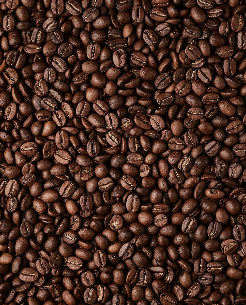 Coffee beans - Image 4