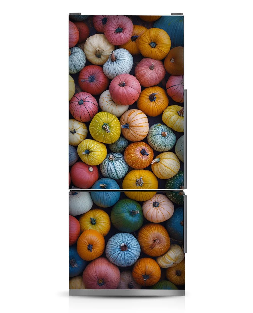 Colorful pumpkins - Image 4