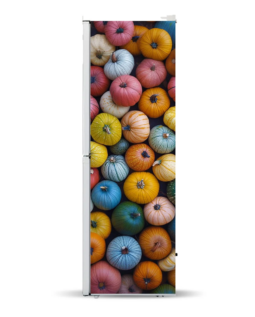 Colorful pumpkins - Image 7