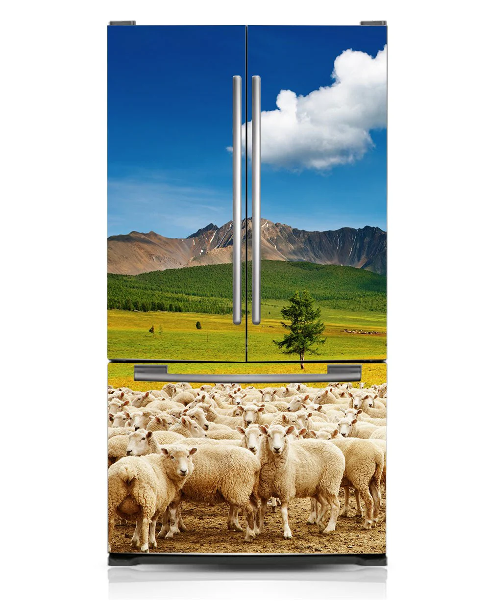 Sheep herd