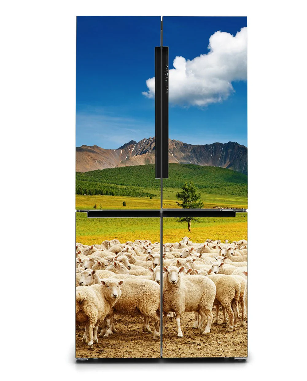 Sheep herd - Image 3