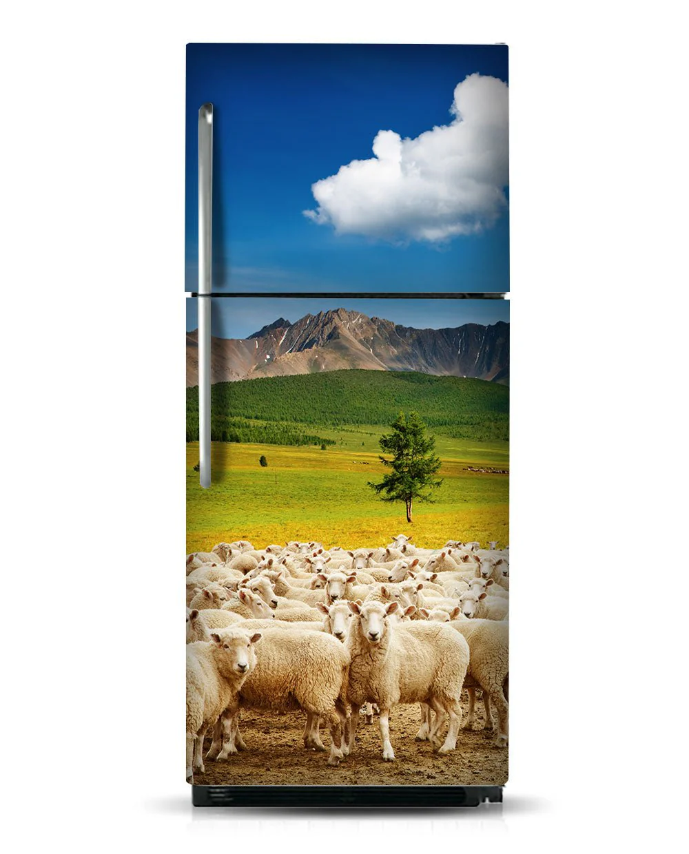 Sheep herd - Image 7