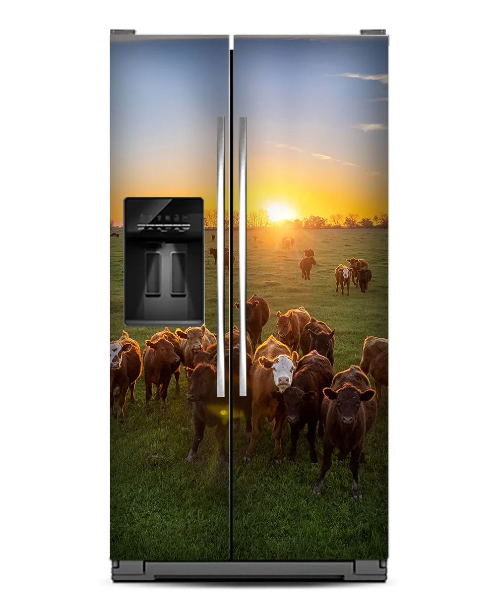 Cow herd - Image 10