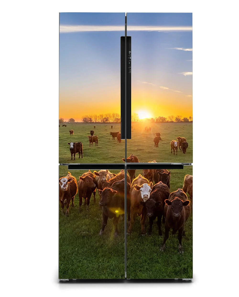 Cow herd - Image 4
