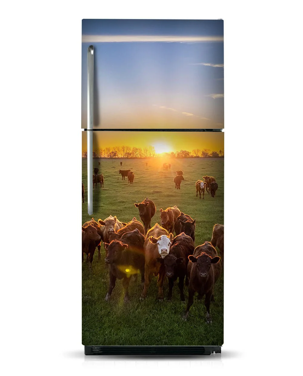 Cow herd - Image 6
