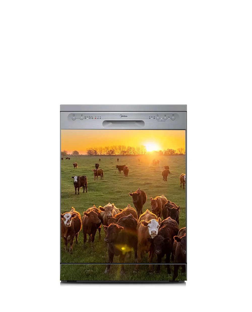 Cow herd - Image 7