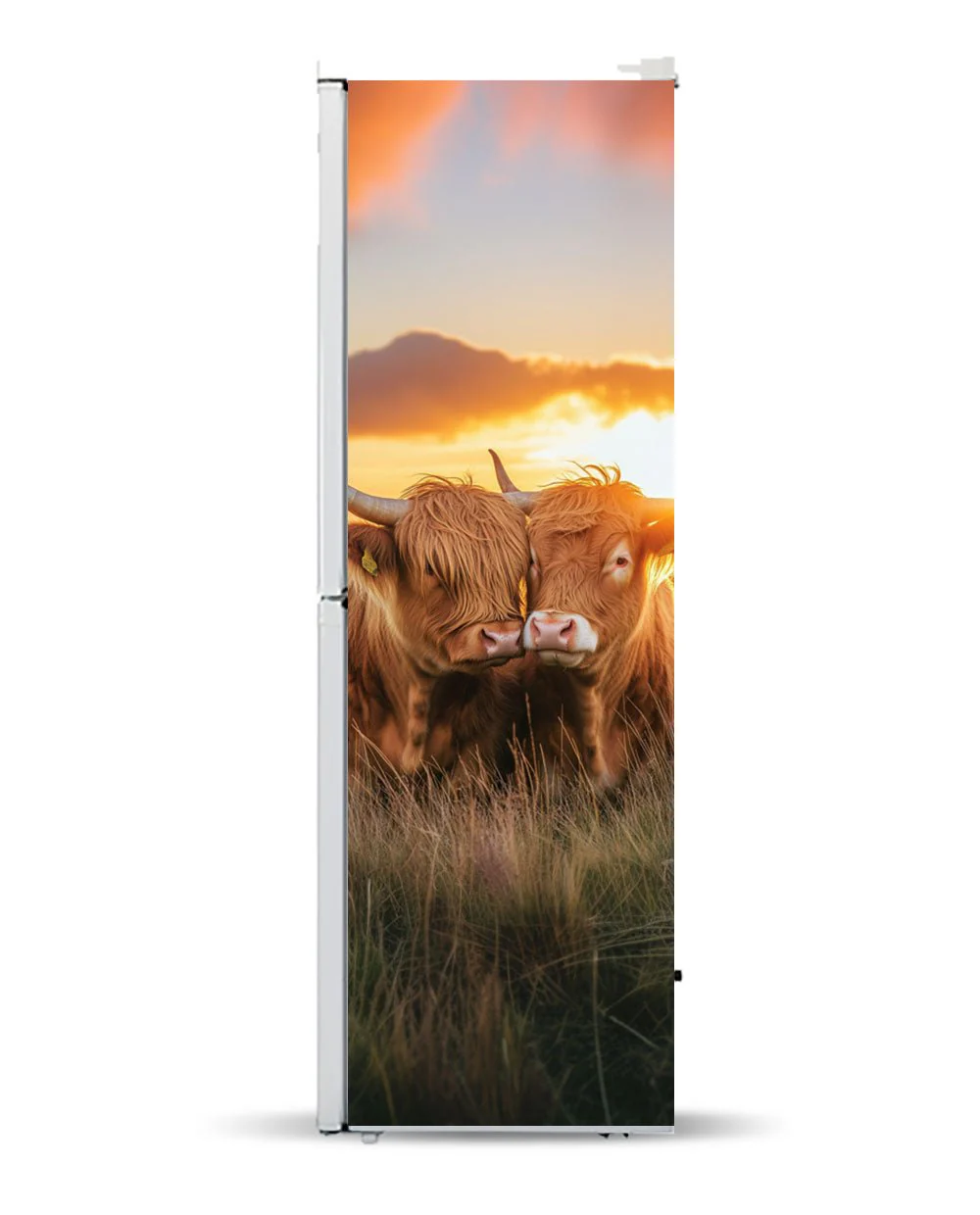 Cow Love - Image 5