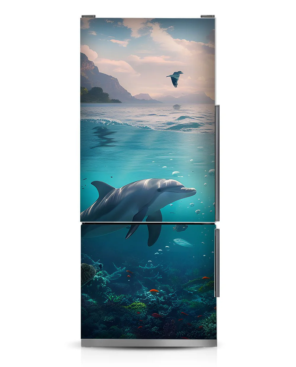 Dolphin - Image 9