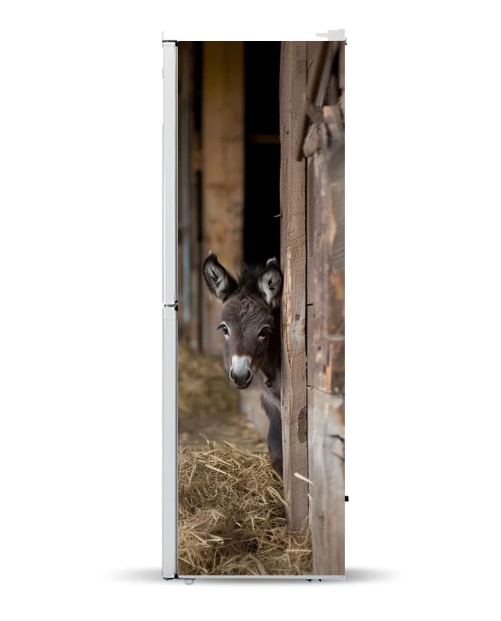 Donkey in the barn - Image 6