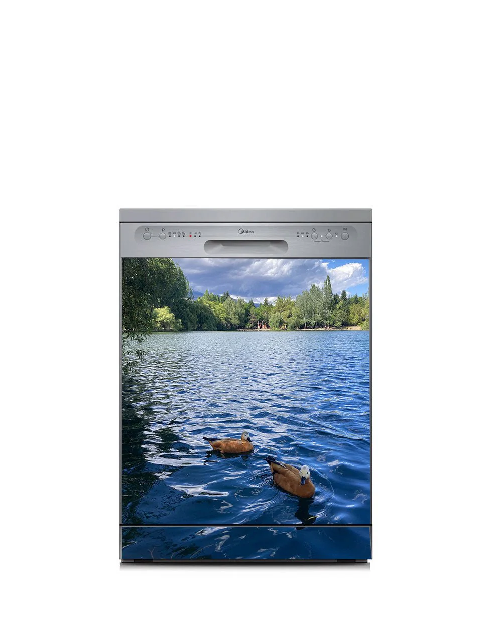 Ducks in the lake - Image 7