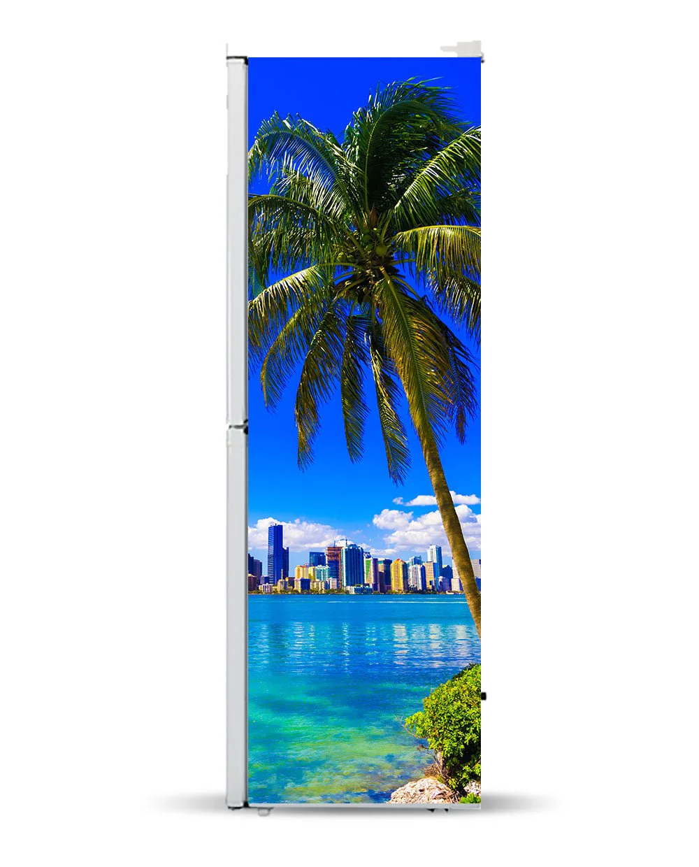 Florida view - Image 4