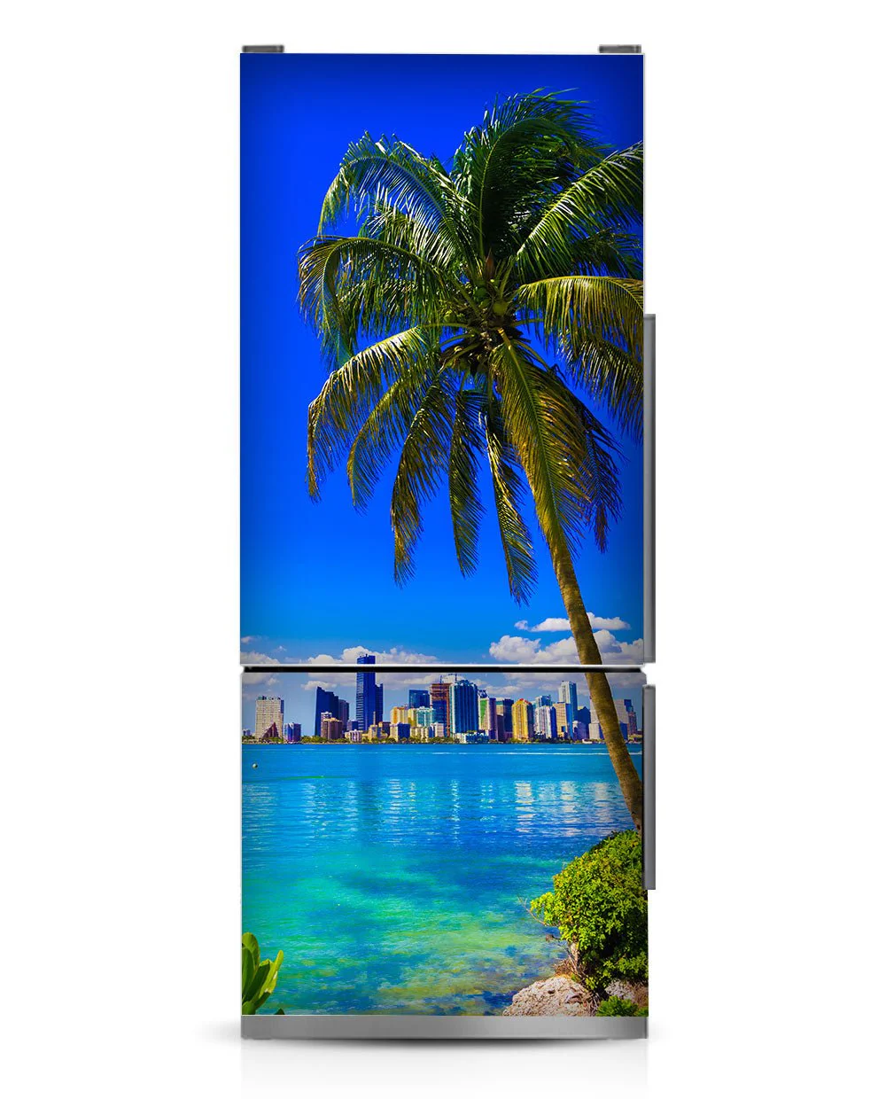 Florida view - Image 7