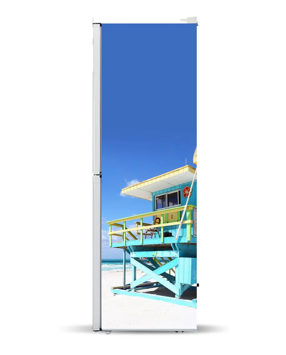 Florida beach - Image 4