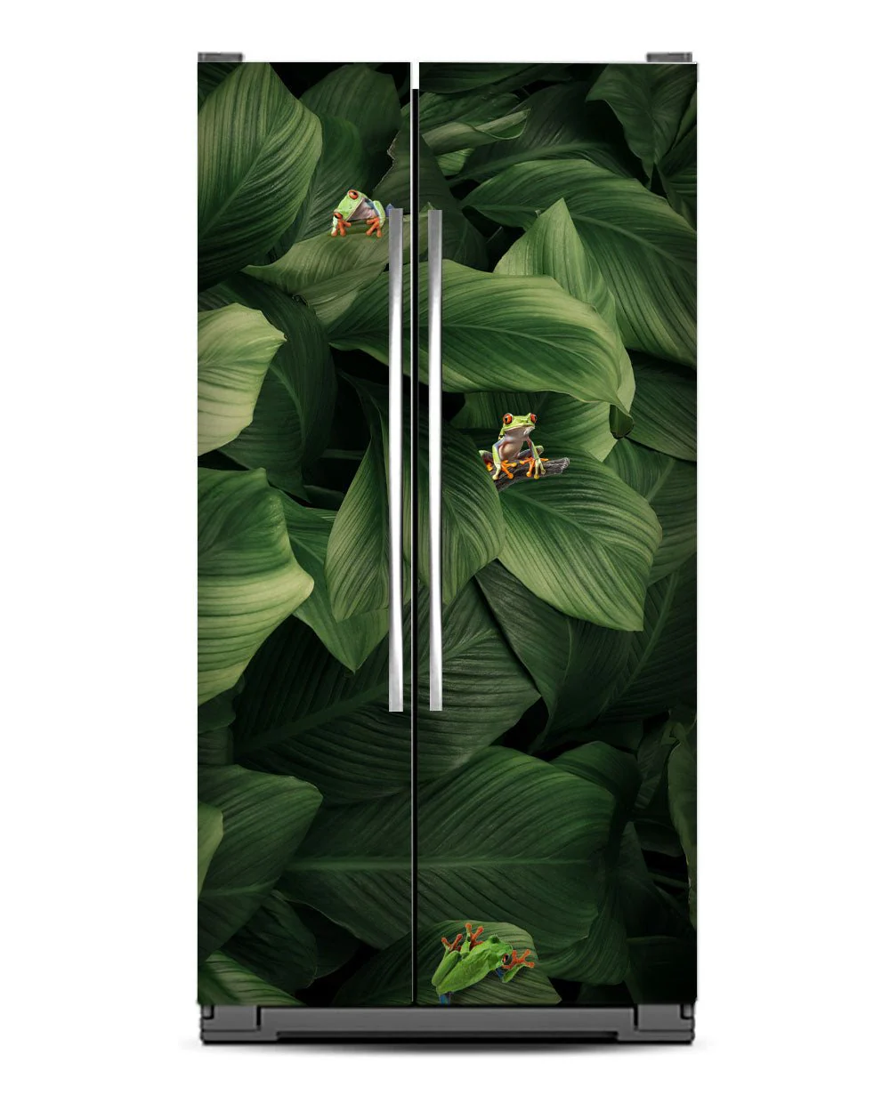 Frogs - Image 10