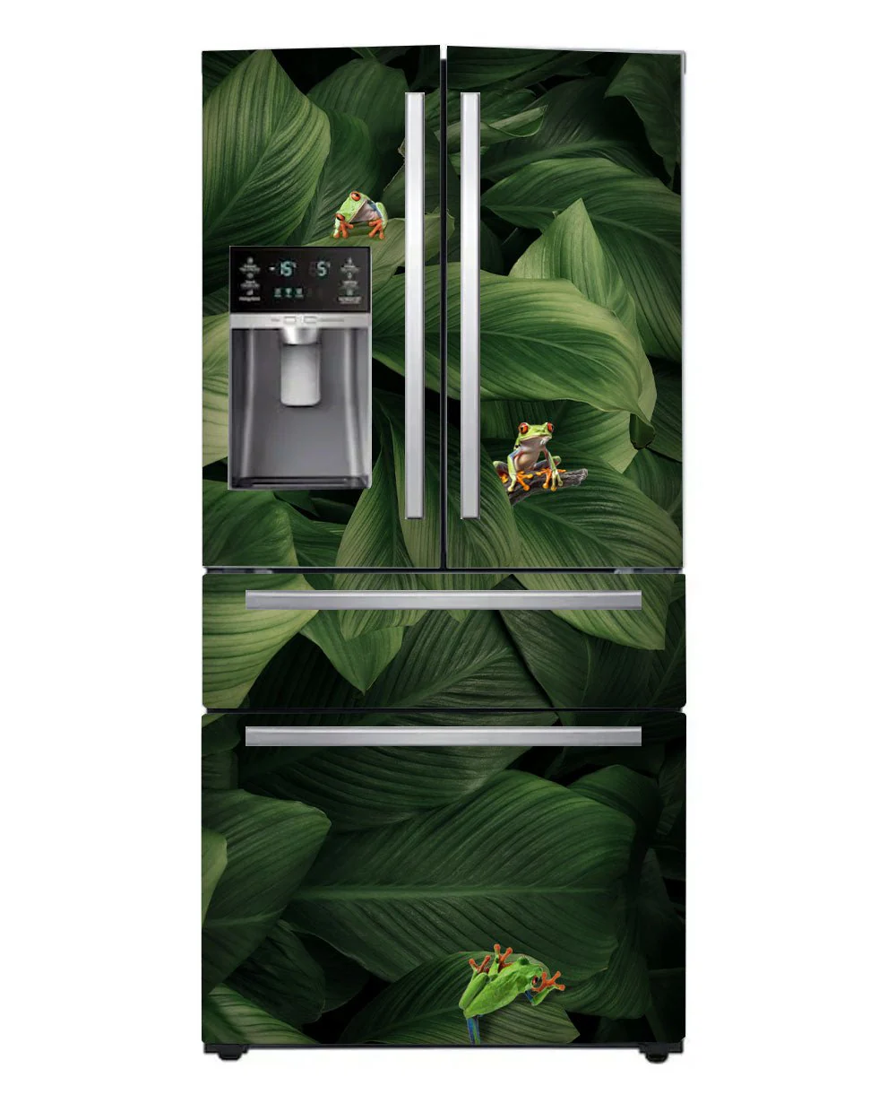 Frogs - Image 2