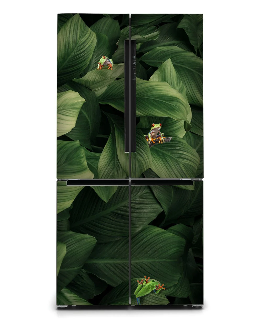 Frogs - Image 4