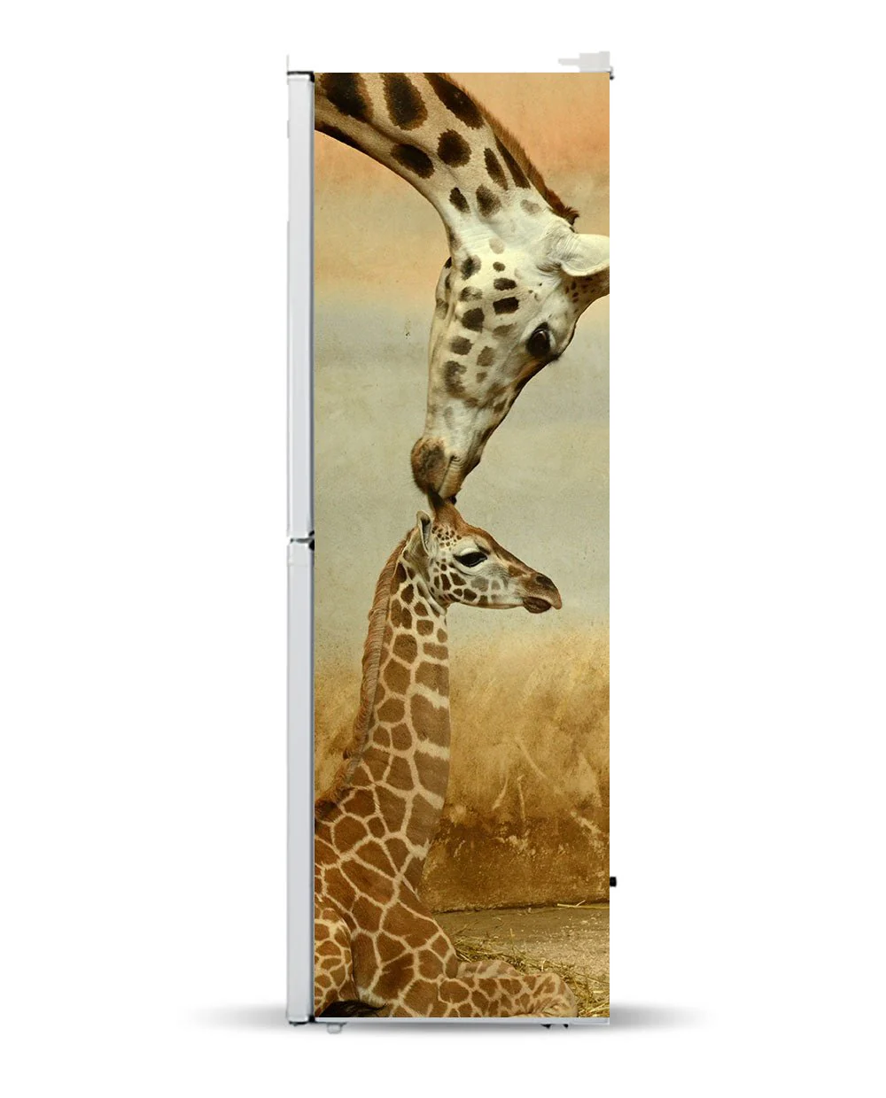 Giraffe love - Image 8
