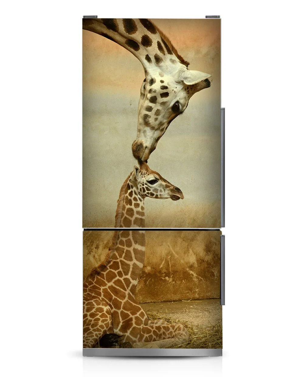 Giraffe love - Image 9