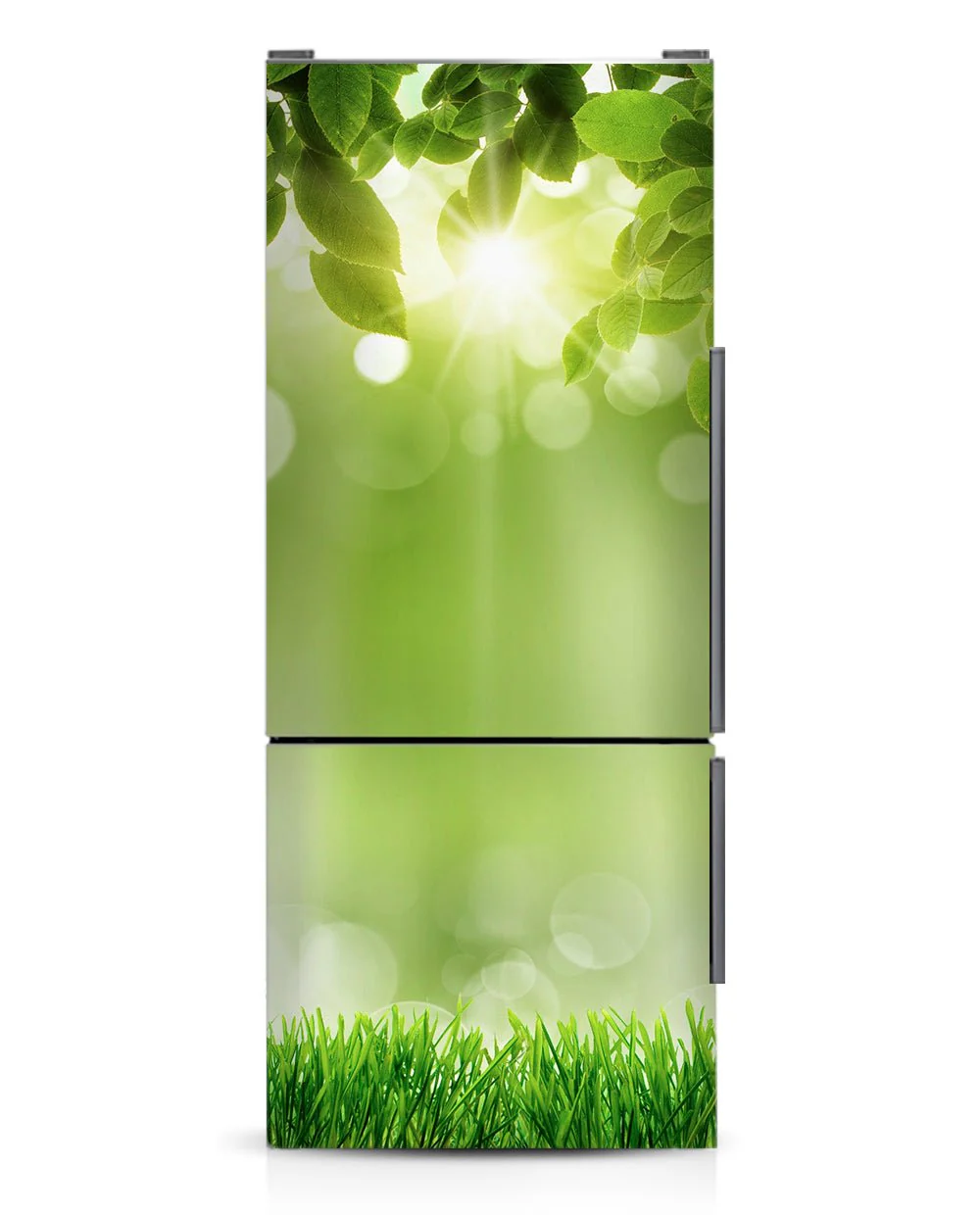 Green - Image 6