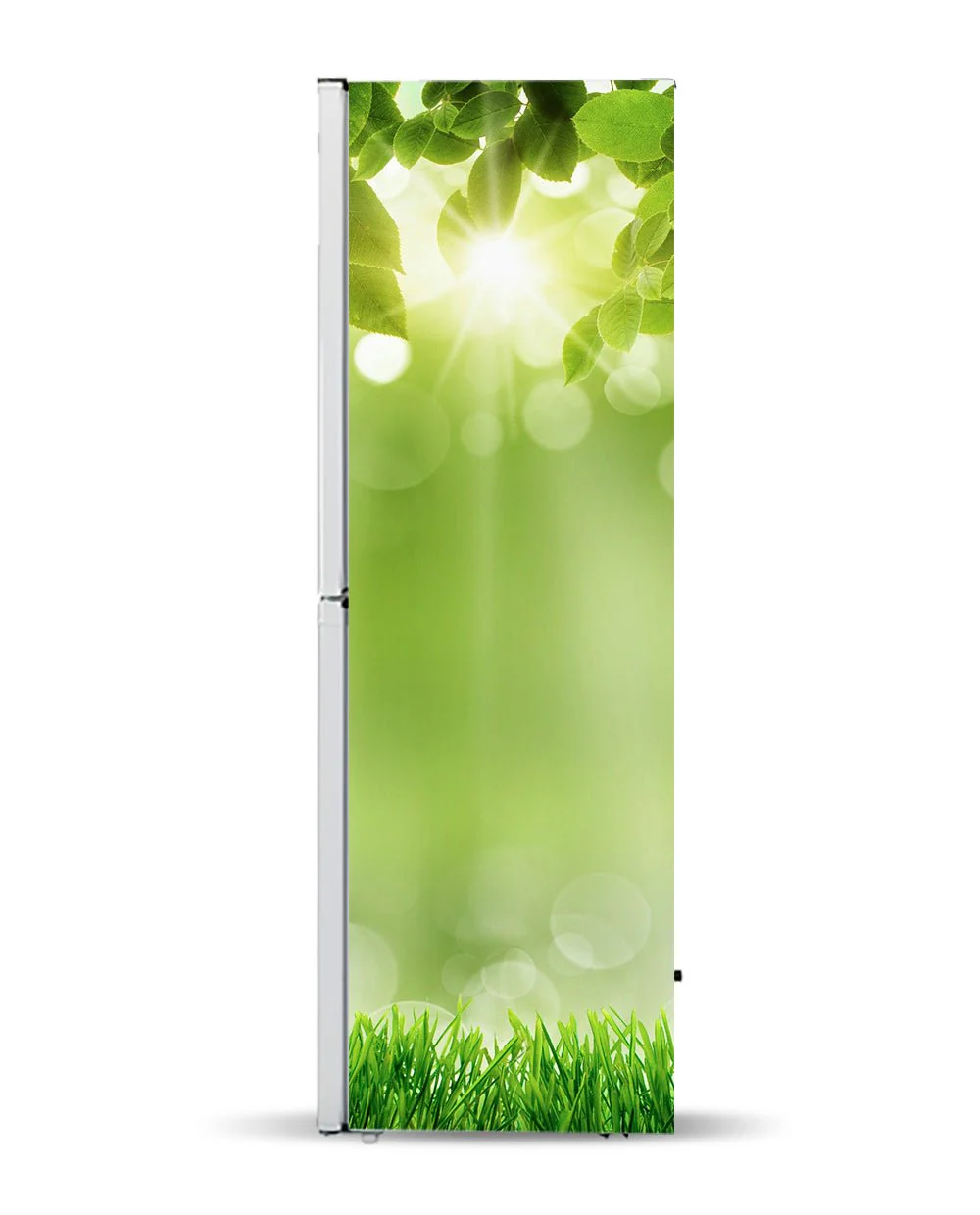 Green - Image 7