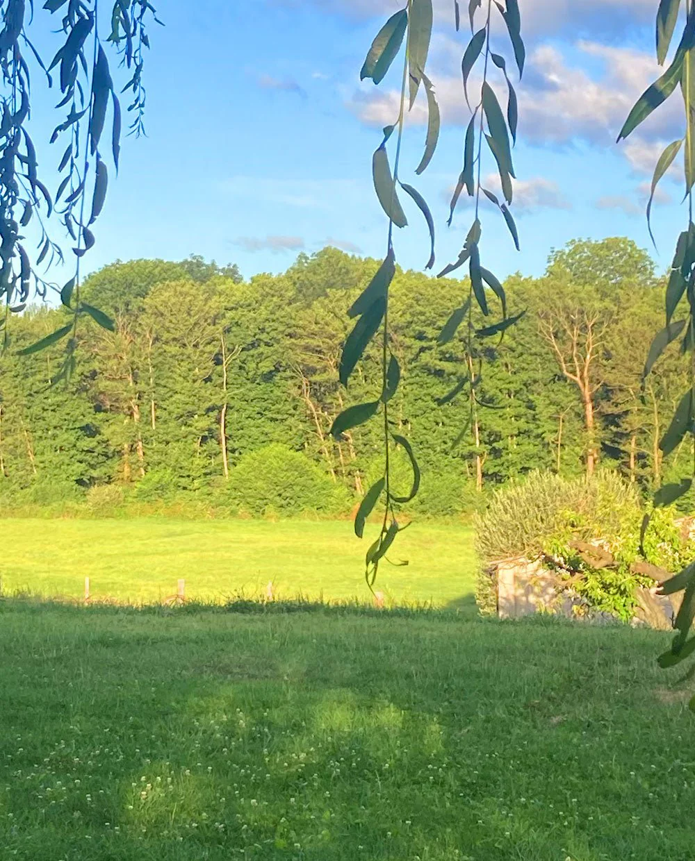 Green & quiet - Image 2