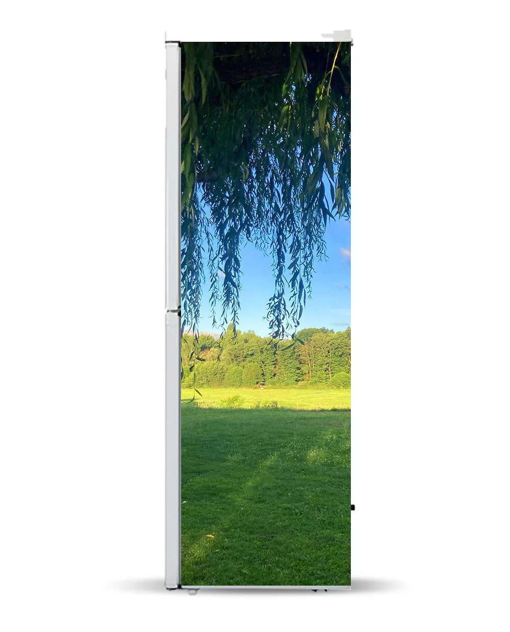 Green & quiet - Image 5